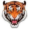22a9f2 tiger logo